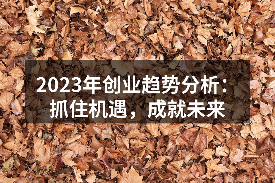 2023年创业趋势分析：抓住机遇，成就未来